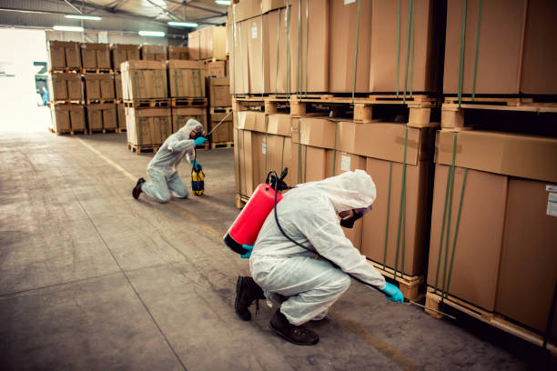 Best Mosquito Control Services  in Harmony, PA
