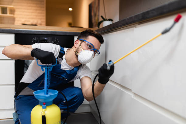 Best Insect Control  in Harmony, PA