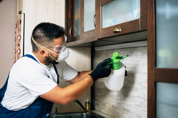 Best Rat Extermination Near Me  in Harmony, PA