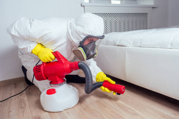 Best Flea Control Services  in Harmony, PA