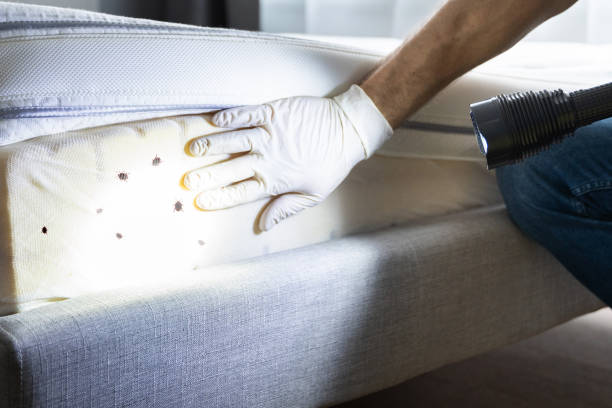 Best Exterminator Services  in Harmony, PA