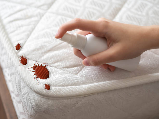 Best Pest Control for Businesses  in Harmony, PA