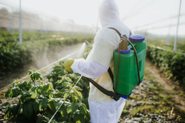 Best Pest Removal Services  in Harmony, PA